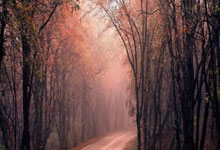 媒体人谈中澳之战：做好防守伺机反击，确保一分的前提下争取胜利.