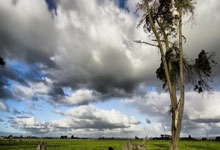 11球追平法蒂，亚马尔成为18岁前西甲进球并列最多的球员.