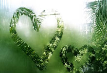 国足将赴海口组织集训，系2025年首次中国新闻网微博.