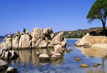 [国际足球]澳大利亚U20队继续领跑A组.